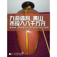 九游体育_黄山市投入八千万元着力保护徽派古建筑(图2) 九游体育